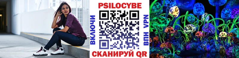 Купить  Артём  Псилоцибиновые грибы Psilocybe 